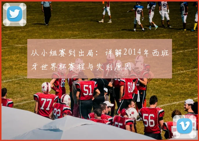 从小组赛到出局：详解2014年西班牙世界杯赛程与失利原因