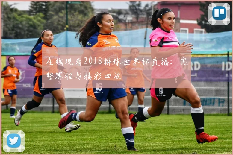 在线观看2018排球世界杯直播：完整赛程与精彩回放