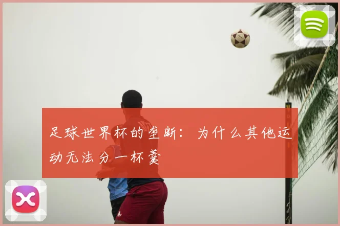 足球世界杯的垄断：为什么其他运动无法分一杯羹