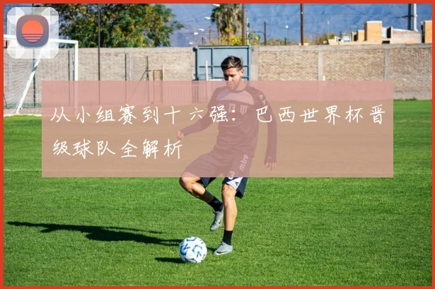 从小组赛到十六强：巴西世界杯晋级球队全解析