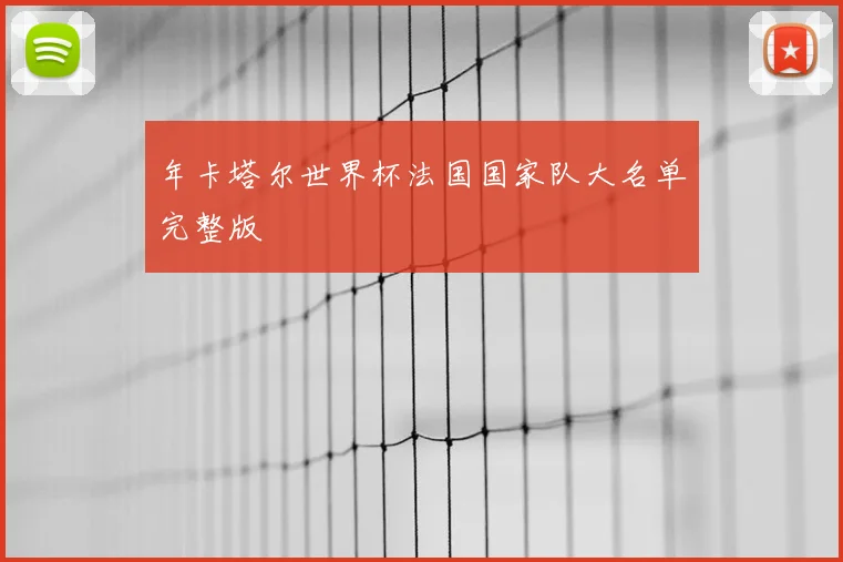 年卡塔尔世界杯法国国家队大名单完整版