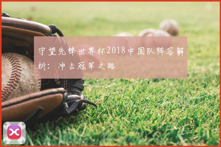 守望先锋世界杯2018中国队阵容解析：冲击冠军之路