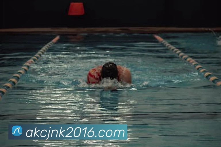 开云手机在线登陆入口服务体系